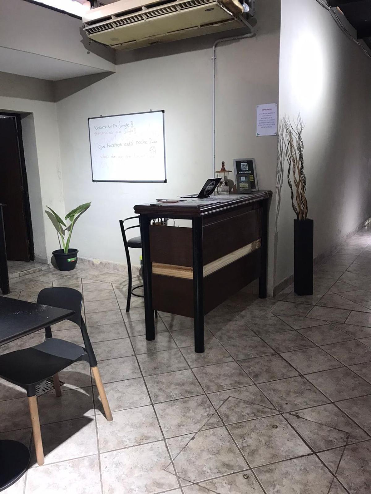 Urban Jungle Hostel Сан-Мигель-де-Тукуман Экстерьер фото