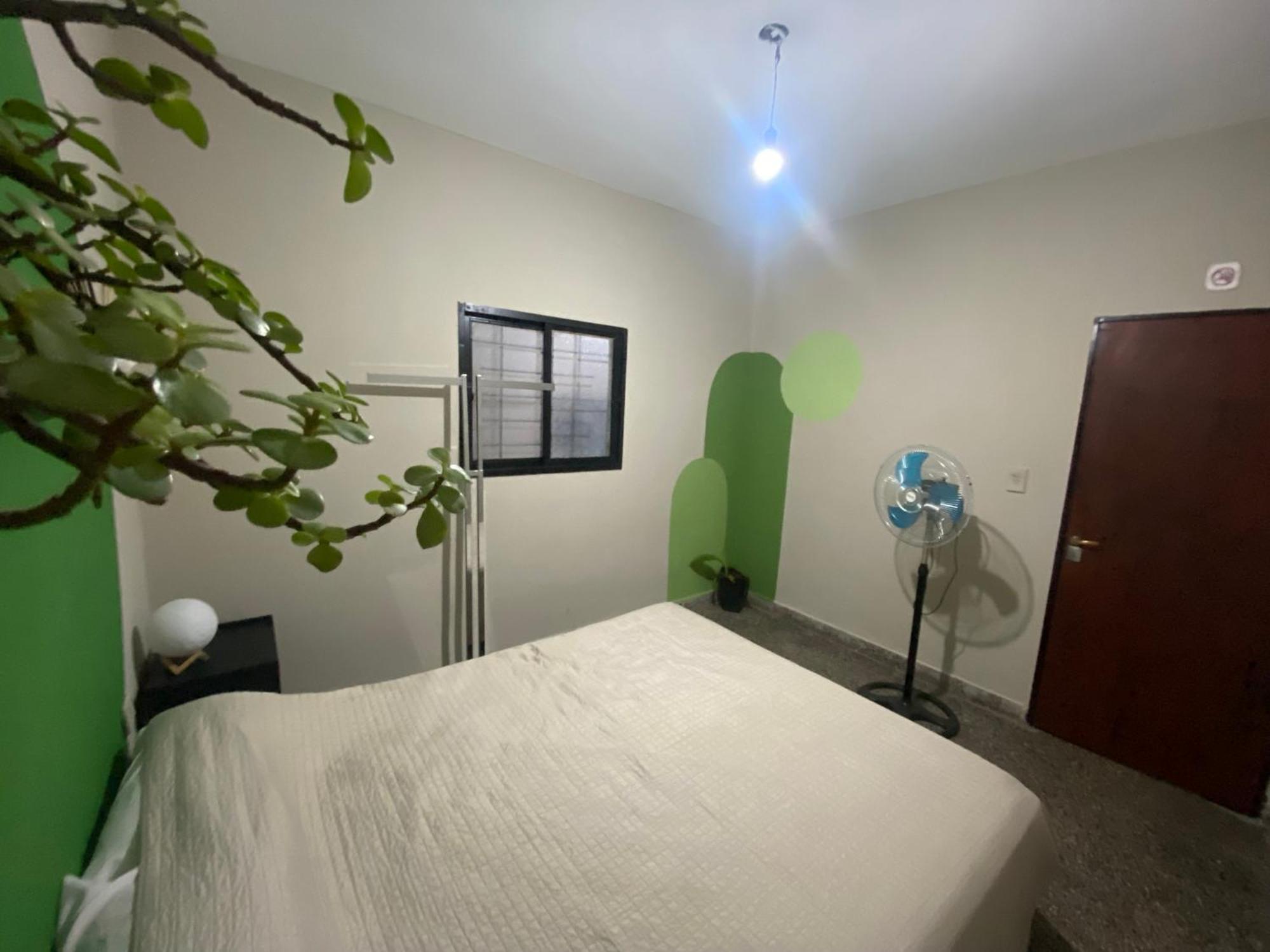 Urban Jungle Hostel Сан-Мигель-де-Тукуман Экстерьер фото
